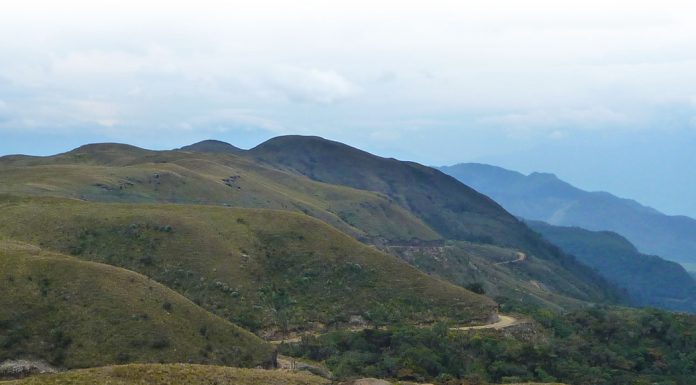 Candente Copper: Australiana aumenta participación